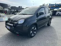 Usata Fiat Panda Cross Cross 70 CV (51 kW) 2023 Verde Utilitaria