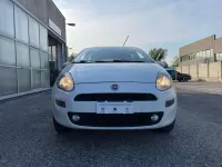 Usata Fiat Punto Lounge 69 CV (50 kW) 2015 Bianco Utilitaria