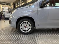 Usata Fiat Panda Lounge 69 CV (50 kW) 2018 Grigio Utilitaria