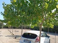 Usata Ford Fiesta Titanium 92 CV (67 kW) 2014 Bianco Berlina