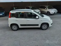 Usata Fiat Panda Easy 69 CV (50 kW) 2020 Bianco Utilitaria