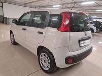 Usata Fiat Panda Easy 69 CV (50 kW) 2017 Beige Berlina