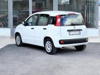 usata Fiat Panda 1.2 GPL 69CV E6 Neo. - 2018