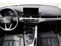 usata Audi A4 Avant 50 TDI quattro tiptronic S line edition usato
