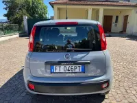 Usata Fiat Panda Easy 69 CV (50 kW) 2019 Grigio Utilitaria