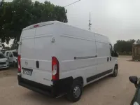 Usata Fiat Ducato 140 CV (102 kW) 2024 Bianco Furgone
