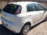 usata Fiat Punto GPL 2014 - 4a serie