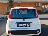 Usata Fiat Panda Easy 75 CV (55 kW) 2014 Bianco Utilitaria