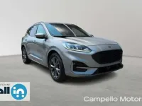 Usata Ford Kuga ST-Line 120 CV (88 kW) 2024 Grigio medio met. SUV