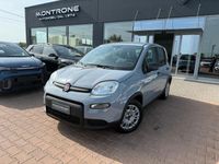 Usata Fiat Panda S 70 CV (51 kW) 2022 Blu Utilitaria