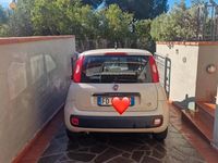Usata Fiat Panda Easy 2016 Utilitaria