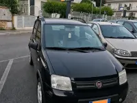 Usata Fiat Panda Climbing 60 CV (44 kW) 2009 Nero Utilitaria