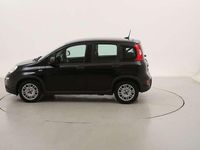 Usata Fiat Panda 71 CV (52 kW) 2023 Nero Utilitaria