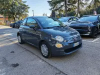 Usata Fiat 500 Pop 69 CV (50 kW) 2018 Grigio Utilitaria