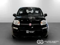 Nuova Fiat Panda Icon 65 CV (47 kW) 2026 Nero cinema pastello Utilitaria