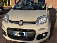 Usata Fiat Panda Lounge 85 CV (62 kW) 2016 Utilitaria