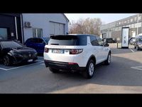 Usata Land Rover Discovery Sport Pure 150 CV (110 kW) 2018 Bianco SUV