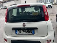 Usata Fiat Panda 4x4 75 CV (55 kW) 2013 Bianco Utilitaria