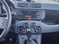 Usata Fiat Panda 69 CV (50 kW) 2020 Grigio Utilitaria