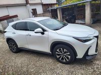 Usata Lexus NX200t 190 CV (139 kW) 2023 Bianco SUV