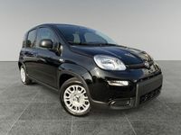 Usata Fiat Panda S 69 CV (50 kW) 2024 Nero Utilitaria