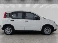 Usata Fiat Panda S 70 CV (51 kW) 2023 Bianco Utilitaria