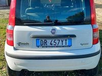 Usata Fiat Panda 2008 Bianco Berlina