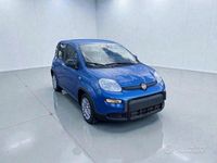 Usata Fiat Panda Pop 70 CV (51 kW) 2024 Bianco Utilitaria