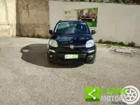 Usata Fiat Panda Easy 95 CV (69 kW) 2016 Nero Utilitaria