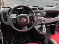 Usata Fiat Panda Lounge 69 CV (50 kW) 2012 Rosso Utilitaria