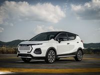 Usata EVO Evo 4 83 kW (114 CV) 2024 Grigio SUV