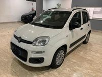 Usata Fiat Panda Easy 69 CV (50 kW) 2021 Bianco Berlina