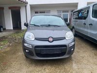 Usata Fiat Panda Lounge 69 CV (50 kW) 2019 Grigio Utilitaria