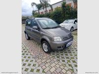 Usata Fiat Panda 4x4 Climbing 69 CV (50 kW) 2012 Grigio Utilitaria