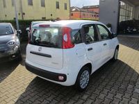 Nuova Fiat Panda S 69 CV (50 kW) 2025 Bianco Utilitaria