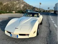 Usata Corvette Stingray 1980 Bianco Coupé