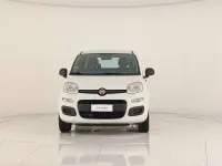 Usata Fiat Panda Easy 80 CV (58 kW) 2015 Bianco gelato Utilitaria