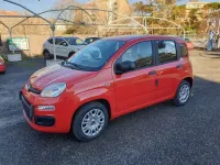 Usata Fiat Panda S 69 CV (50 kW) 2021 Arancio Utilitaria