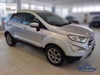 usata Ford Ecosport 1.5 Ecoblue 95 CV Start&Stop Titanium usato