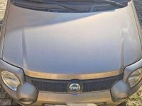 Usata Fiat Panda 4x4 Cross 69 CV (50 kW) 2006 Utilitaria