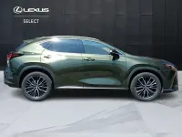 Usata Lexus NX300h Luxury Line 243 CV (178 kW) 2022 Verde SUV