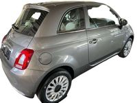 Immagine 3