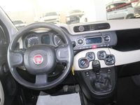 Usata Fiat Panda Easy 95 CV (69 kW) 2015 Beige Utilitaria