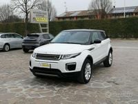 Usata Land Rover Range Rover evoque SE 150 CV (110 kW) 2016 Alpine white SUV