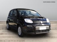 usata Fiat Panda 1.0 firefly hybrid 70cv