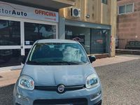 Usata Fiat Panda Easy 69 CV (50 kW) 2020 Grigio Utilitaria