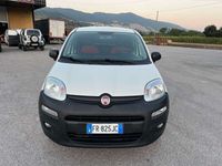 Usata Fiat Panda 4x4 Pop 80 CV (58 kW) 2018 Bianco Utilitaria