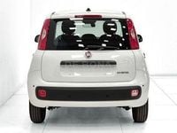 Nuova Fiat Panda Icon 69 CV (50 kW) 2026 Bianco Utilitaria