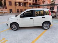 Usata Fiat Panda 2020 Bianco Utilitaria