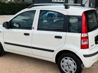 Usata Fiat Panda 2011 Utilitaria